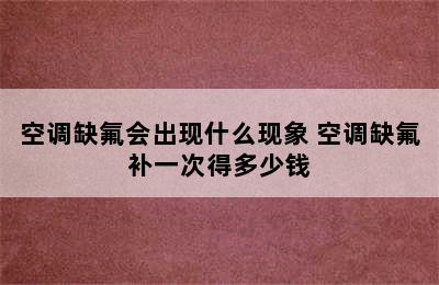 空调缺氟会出现什么现象 空调缺氟补一次得多少钱